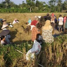 PANIJEM Desak Bupati Jember Secepatnya Mengevaluasi Kinerja Tim KP3